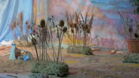 Dried Flowers Decoration Stock Footage 113748948