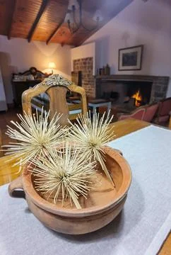 Dried flowers in an earthenware dish on the table. Still life, herbarium. Stock Photos