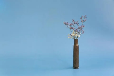 Dried flowers in an empty case from under a firearm on a blue background. Stock Photos