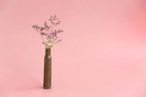 Dried flowers in an empty case from under a firearm on a pink background Stock Photos