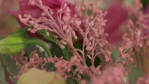 Dried Flowers Floristics Stock Footage 135792783