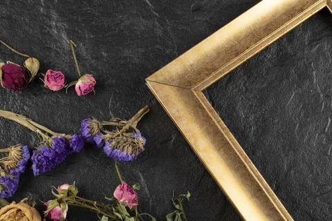 Dried flowers with frame on a black background Stock Photos