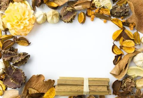 Dried flowers frame Stock-Fotos