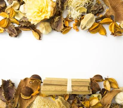 Dried flowers frame Stock-Fotos