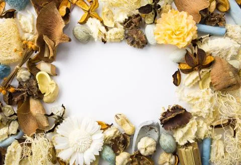 Dried flowers frame Stock-Fotos