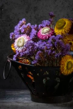 Dried Flowers in Nice Light Stock Photos