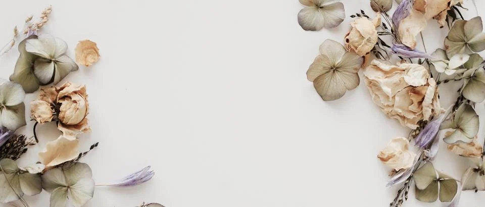 Dried flowers pattern frame top view on white background. Copy space.banner Stock Photos