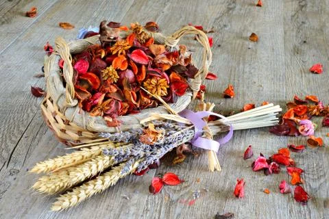 Dried flowers Stock-Fotos