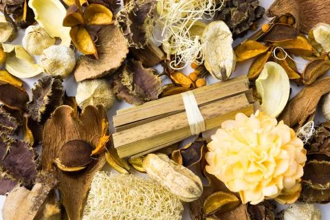 Dried flowers Stock-Fotos