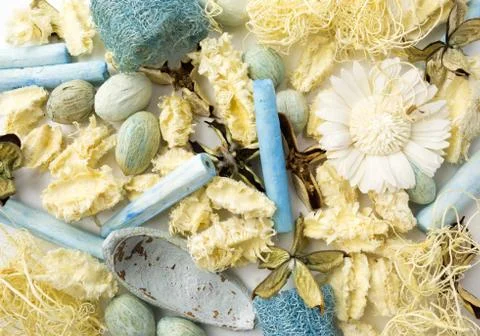 Dried flowers 스톡 사진