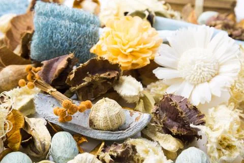 Dried flowers Foto stock