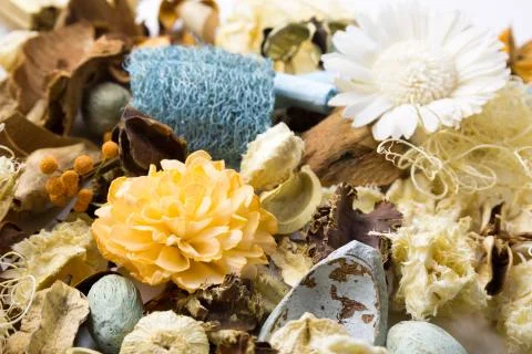 Dried flowers 스톡 사진