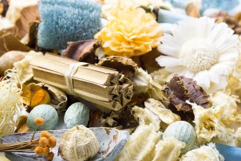 Dried flowers Foto stock