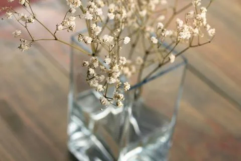 Dried flowers Stock Photos