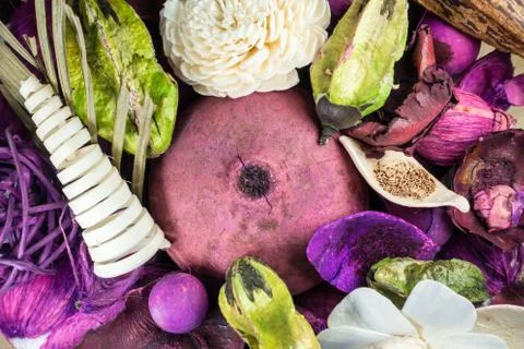 Dried flowers Foto stock