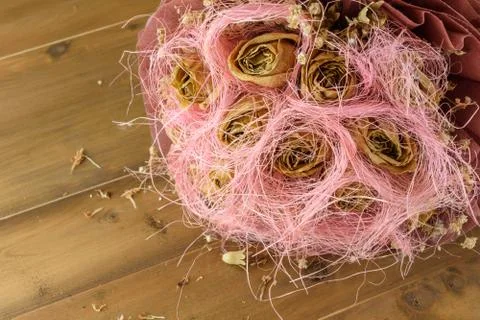 Dried flowers Stock Photos