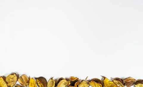 Dried flowers Stock Photos