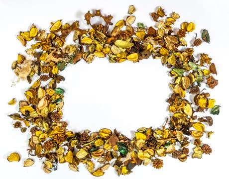 Dried flowers Stock Photos