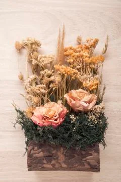 Dried flowers Stock Photos