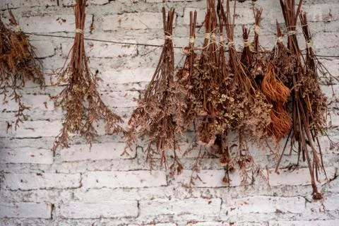 Dried flowers Stock Photos