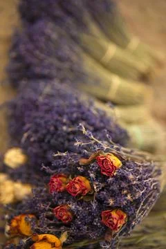 Dried flowers Stock Photos