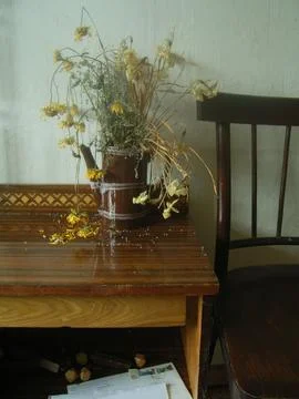 Dried flowers in a vase on the table. Stock Photos