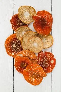 Dried fly agaric on a white background. Photos