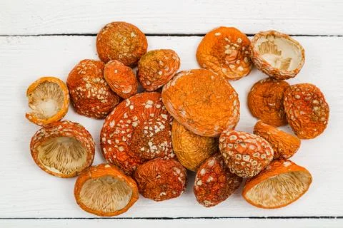 Dried fly agaric on a white background. Stock Photos