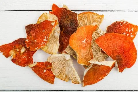 Dried fly agaric on a white background. Stock Photos