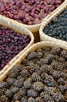 Dried forest berries in a baskets Stock Photos