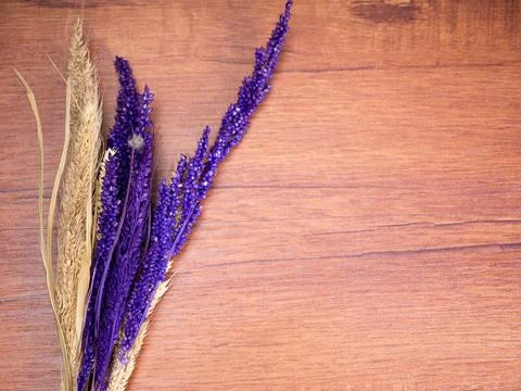 Dried Foxtail millet on a table Stock Photos