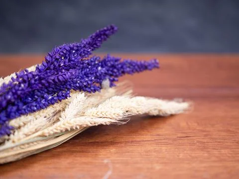 Dried Foxtail millet on a table Stock Photos