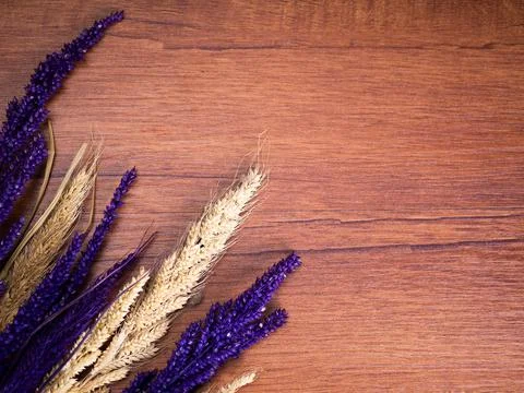 Dried Foxtail millet on a table Stock Photos