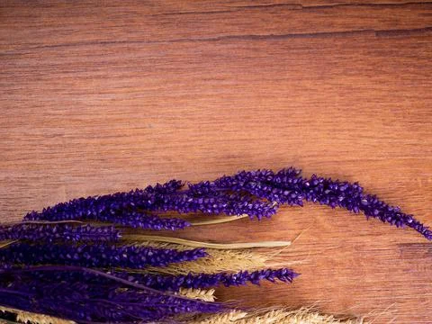 Dried Foxtail millet on a table Stock Photos