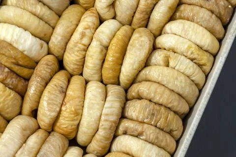 Dried fruit background. Rows of dried dates, apricots,cranberries, blueberr.. Stock Photos