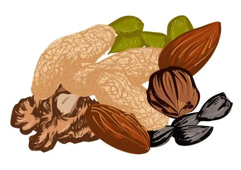 Dried fruit Stock Illustration
