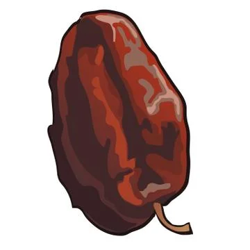 Dried fruit isolated on white background. Vector cartoon close-up illustration. Stock Illustration