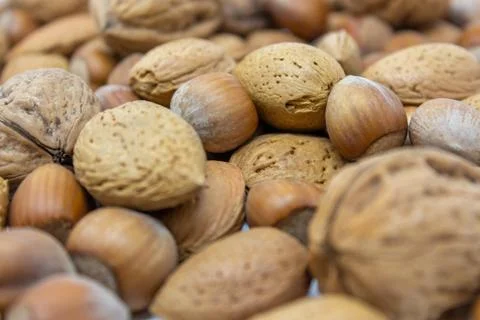 Dried fruit in macro photography Stock Photos