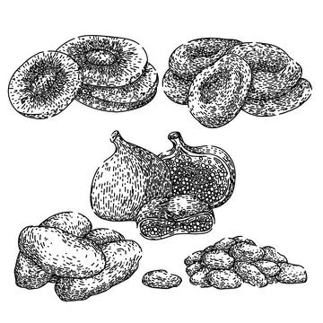 Dried fruit set sketch hand drawn vector Stock Illustration