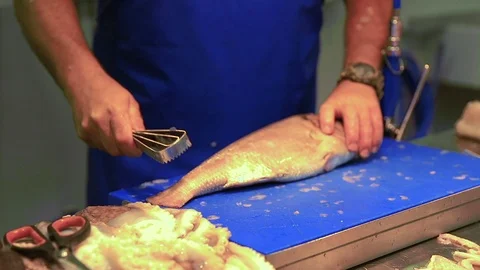 Dried fruits Stock Footage 101534452