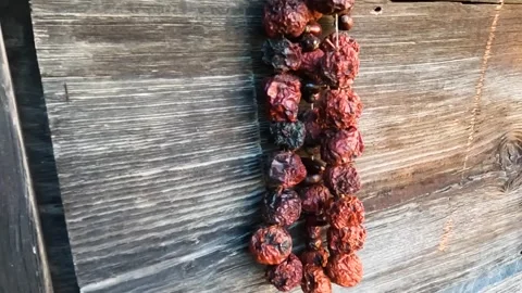 Dried Fruits Hanging on a String Against a Weathered Wooden Wall Stock Footage 303924645