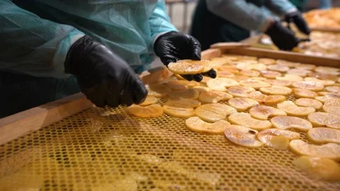 Dried fruits making process. Worker preparing dried kinglet in fruit factory. Stock Footage 231766374
