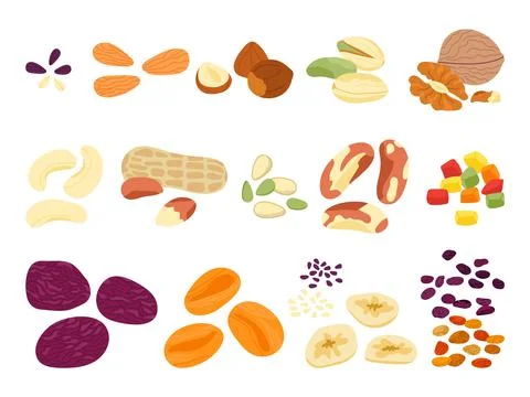 Dried fruits nuts and seed. Crunchy snack mix, various natural food, nuts and Stock Illustration