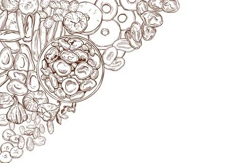 Dried fruits . Vector background. Stock Illustration