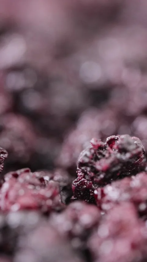 Dried gentle-drying blueberries in bulk Vídeo Stock 230606445