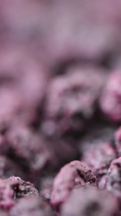 Dried gentle-drying blueberries Video stock 230645524
