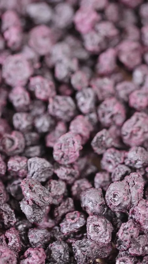 Dried gentle-drying blueberries 스톡 동영상 232994748
