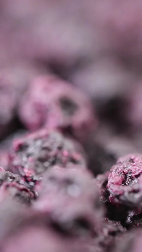Dried gentle-drying blueberries Video stock 235972495
