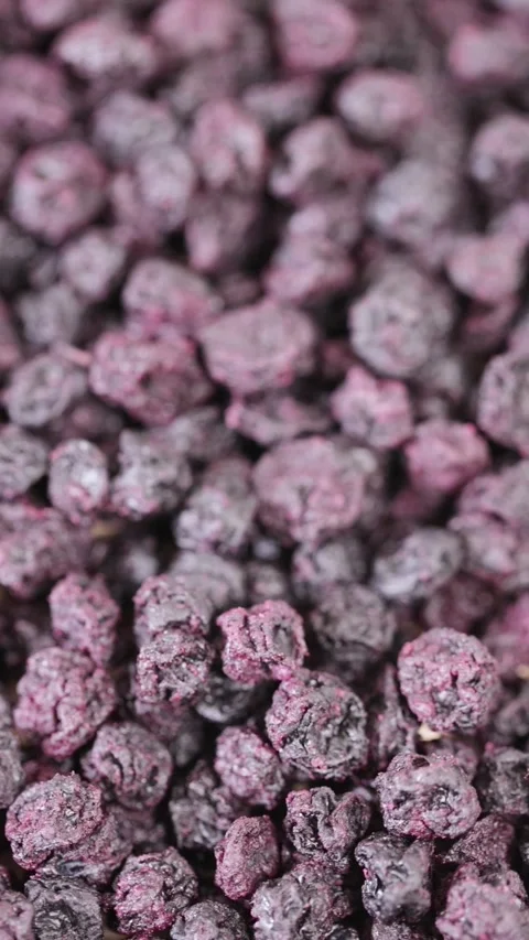 Dried gentle-drying blueberries Video stock 265657761