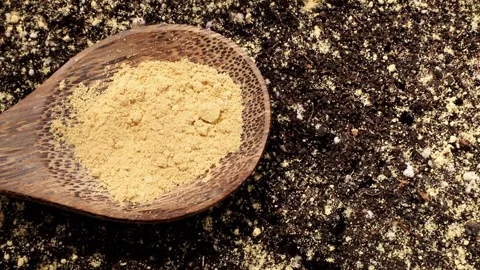 Dried ginger powder Zingiber officinale is used as a natural pest control. Stock Footage 340147355